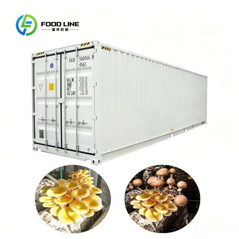 Urban Farming Indoor - Hydroponic Container Farm with Automated Irrigation