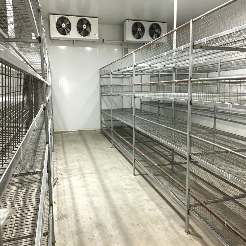 Hydroponic Container Farm with - đánh giá và giá Urban Farming Indoor
