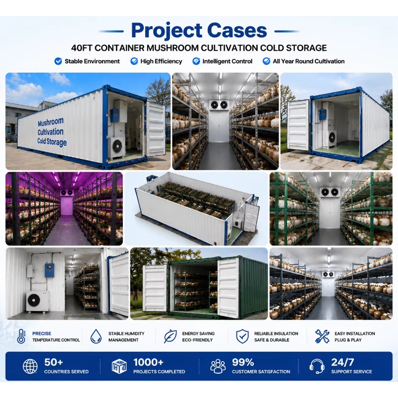 Hydroponic Container Farm with - đánh giá và giá Urban Farming Indoor